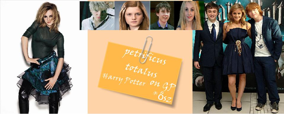 petrificus totalus__a varzslat megdermeszt.<33 harry potter gportal.^^